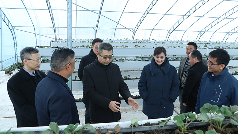 口袋德州官网-口袋德州APP下载