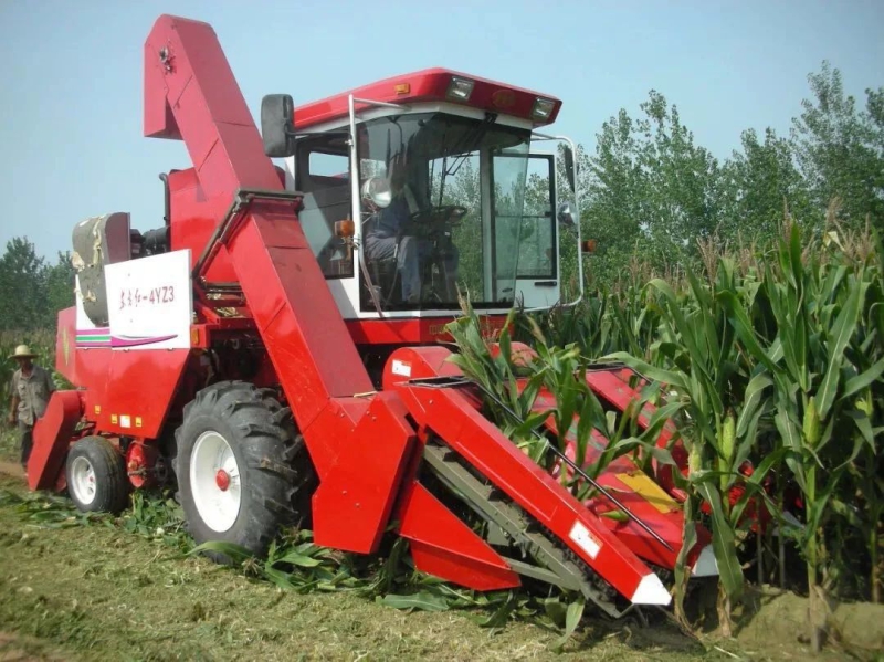 口袋德州官网-口袋德州APP下载