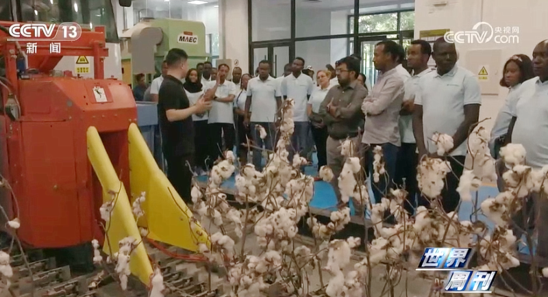 口袋德州官网-口袋德州APP下载