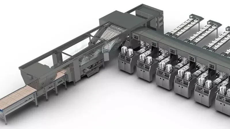 口袋德州官网-口袋德州APP下载