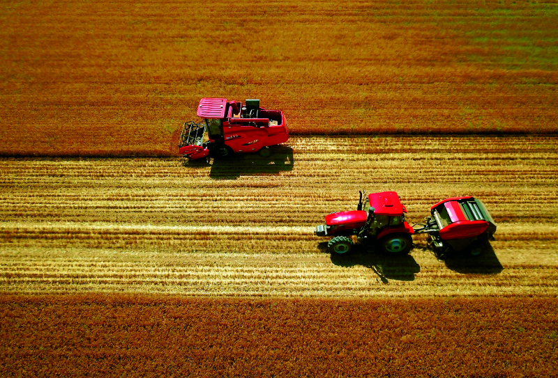 口袋德州官网-口袋德州APP下载