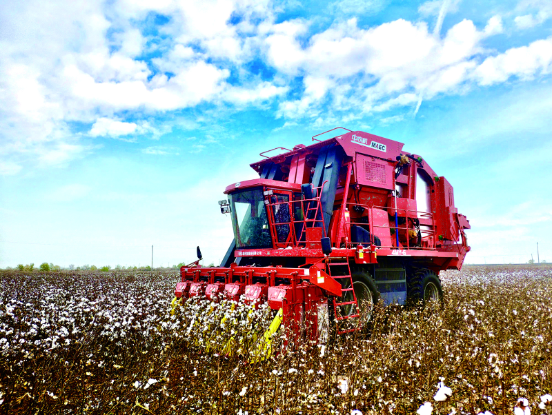 口袋德州官网-口袋德州APP下载