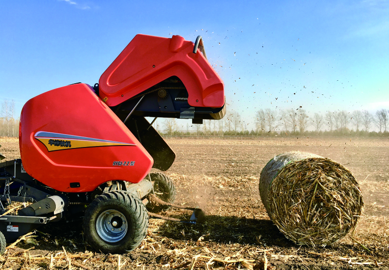 口袋德州官网-口袋德州APP下载