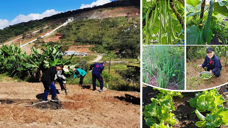 口袋德州官网-口袋德州APP下载